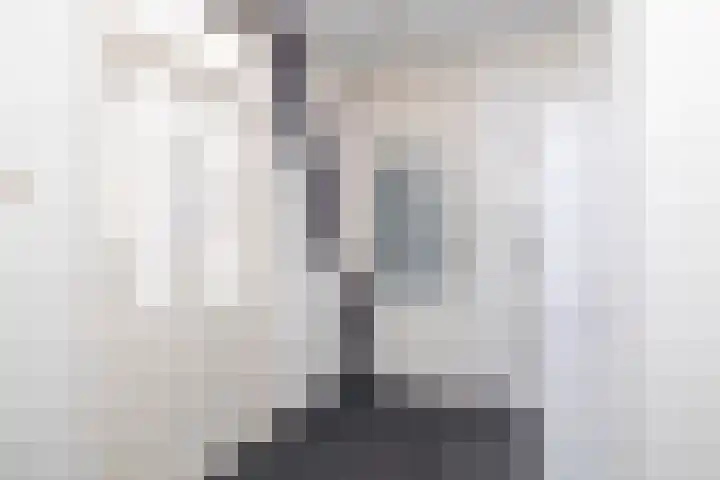 Camerlinghdreef 14 Zuidwolde thumbnail 19