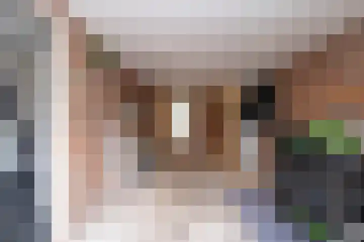Camerlinghdreef 14 Zuidwolde thumbnail 20
