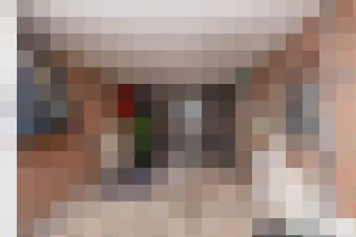 Camerlinghdreef 14 Zuidwolde thumbnail 21
