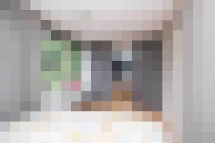 Camerlinghdreef 14 Zuidwolde thumbnail 26