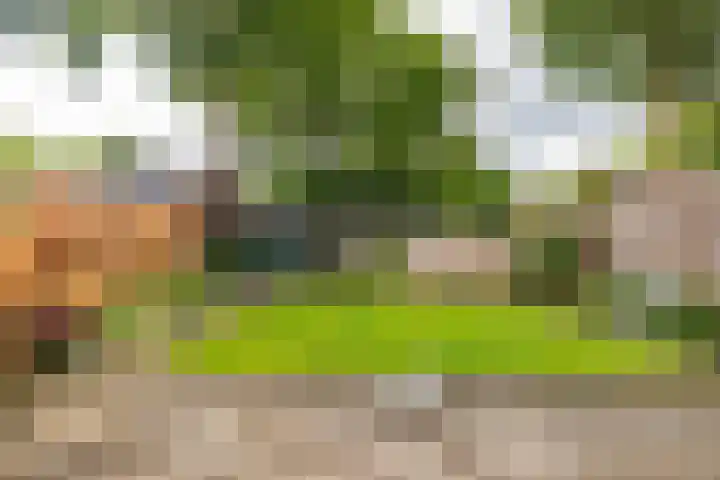 Camerlinghdreef 14 Zuidwolde thumbnail 38