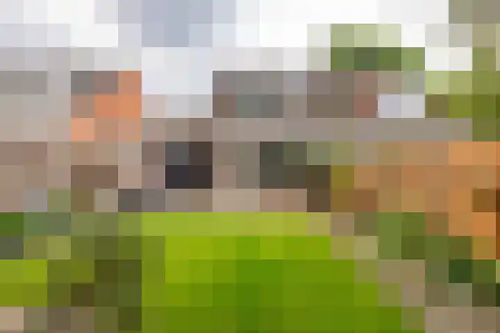 Camerlinghdreef 14 Zuidwolde thumbnail 39