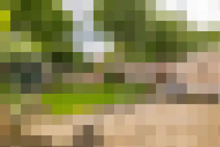 Camerlinghdreef 14 Zuidwolde thumbnail 40