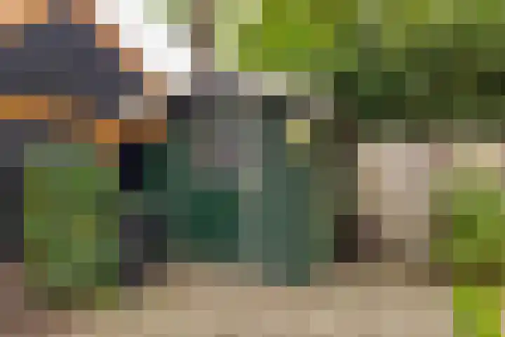Camerlinghdreef 14 Zuidwolde thumbnail 42