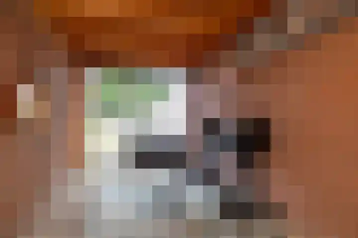Camerlinghdreef 14 Zuidwolde thumbnail 45