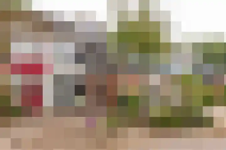 Camerlinghdreef 14 Zuidwolde thumbnail 47