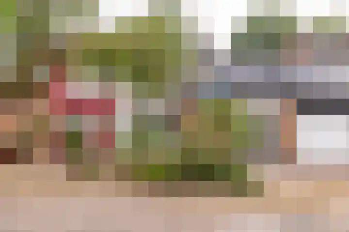 Camerlinghdreef 14 Zuidwolde thumbnail 48