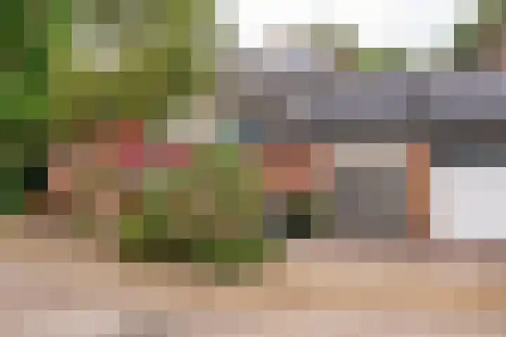 Camerlinghdreef 14 Zuidwolde thumbnail 49
