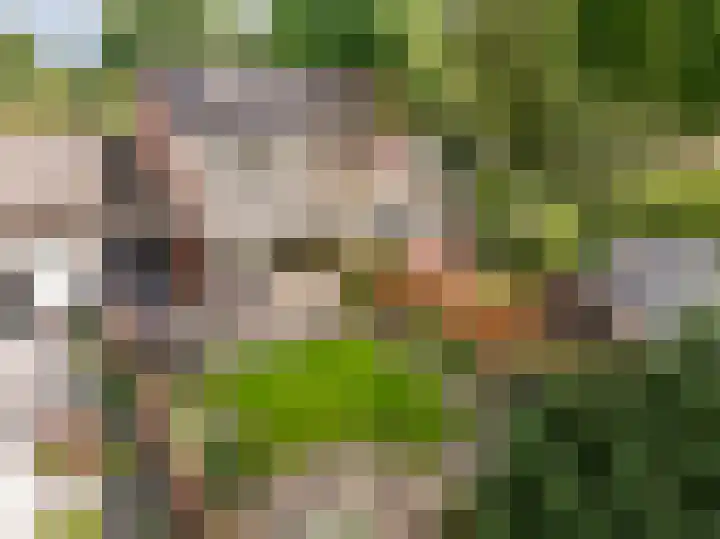 Camerlinghdreef 14 Zuidwolde thumbnail 5
