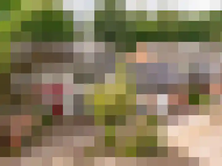 Camerlinghdreef 14 Zuidwolde thumbnail 50