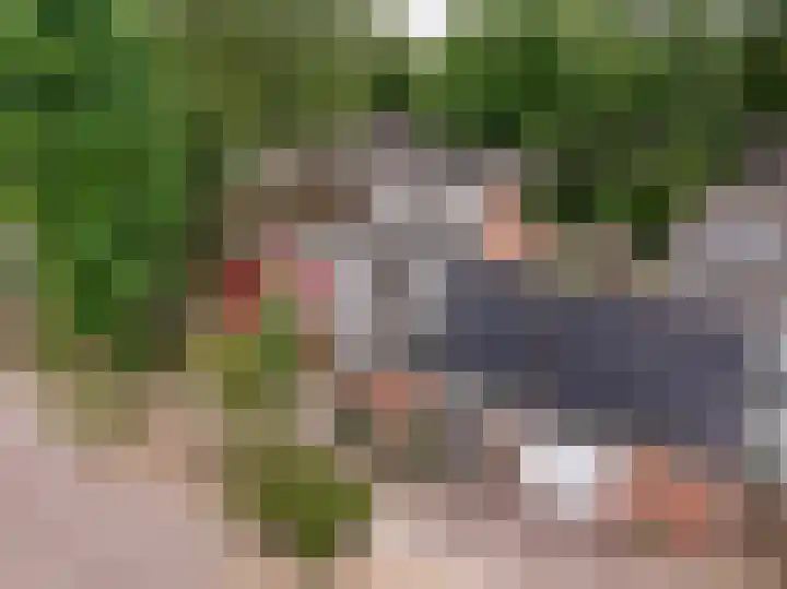 Camerlinghdreef 14 Zuidwolde thumbnail 51