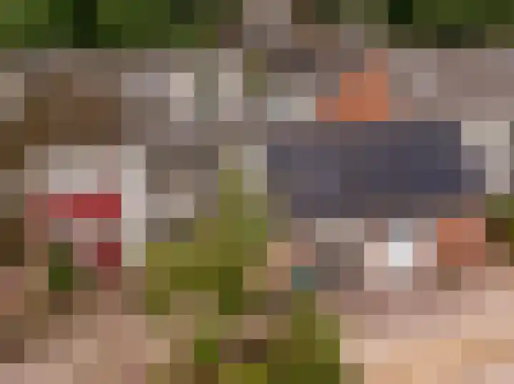 Camerlinghdreef 14 Zuidwolde thumbnail 52