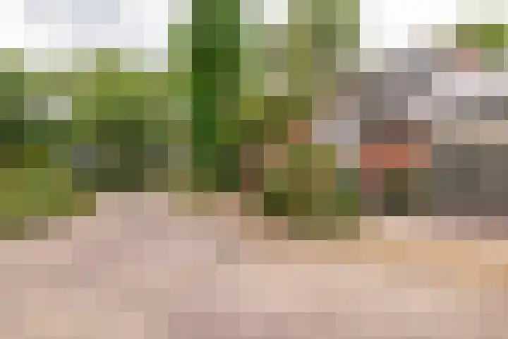 Camerlinghdreef 14 Zuidwolde thumbnail 53