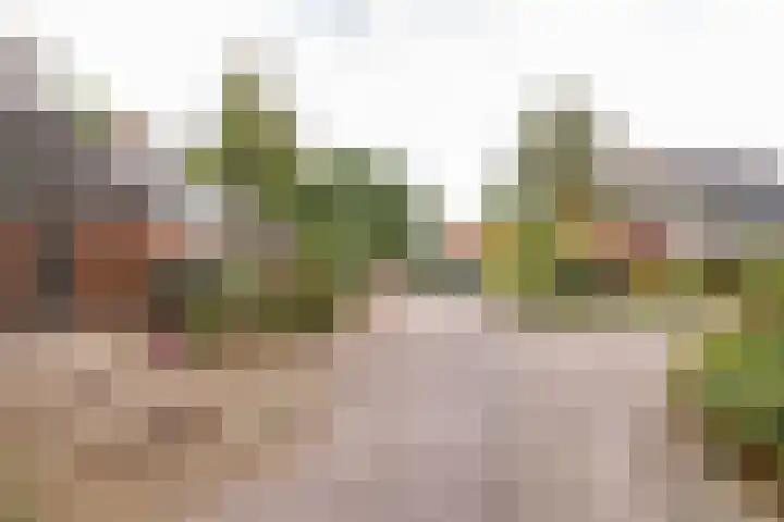 Camerlinghdreef 14 Zuidwolde thumbnail 54