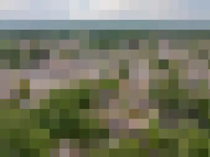 Camerlinghdreef 14 Zuidwolde thumbnail 55