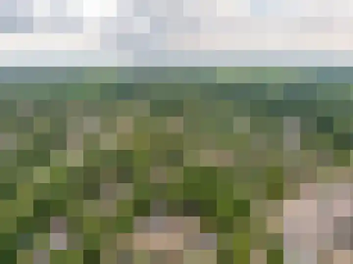 Camerlinghdreef 14 Zuidwolde thumbnail 56