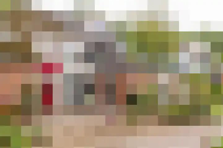 Camerlinghdreef 14 Zuidwolde thumbnail 57