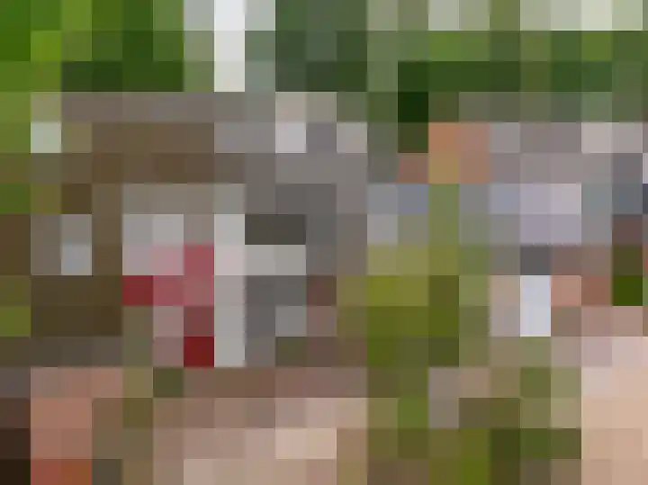 Camerlinghdreef 14 Zuidwolde thumbnail 6