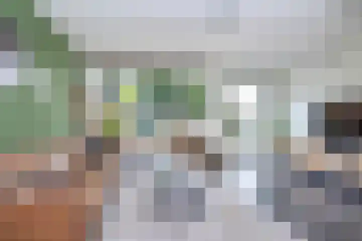 Camerlinghdreef 14 Zuidwolde thumbnail 9