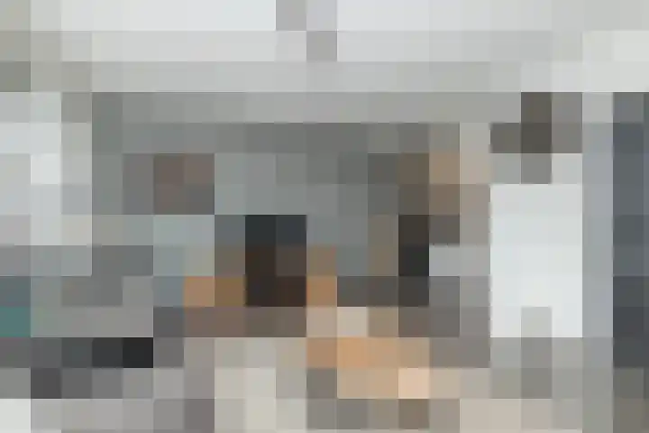 Camerlinghdreef 3 Zuidwolde thumbnail 12