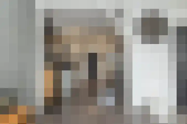 Camerlinghdreef 3 Zuidwolde thumbnail 13