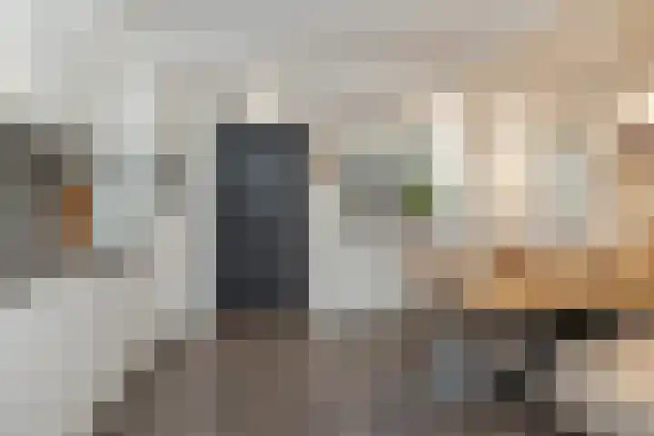 Camerlinghdreef 3 Zuidwolde thumbnail 16