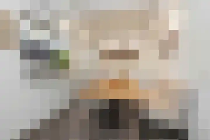 Camerlinghdreef 3 Zuidwolde thumbnail 17