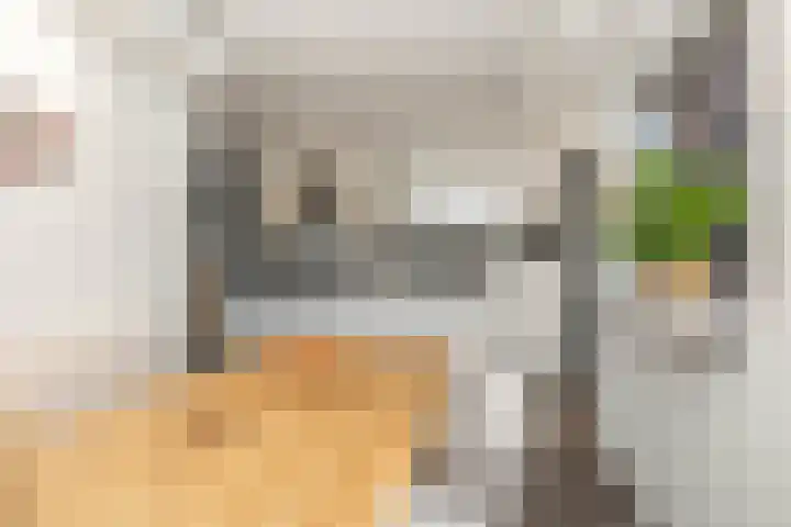Camerlinghdreef 3 Zuidwolde thumbnail 18