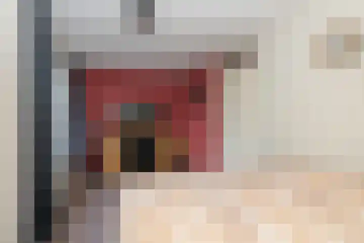 Camerlinghdreef 3 Zuidwolde thumbnail 26