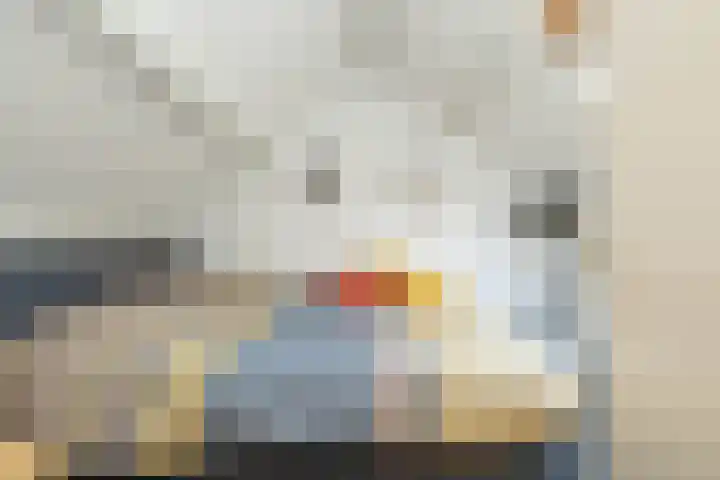Camerlinghdreef 3 Zuidwolde thumbnail 35