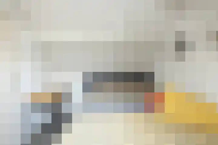Camerlinghdreef 3 Zuidwolde thumbnail 36
