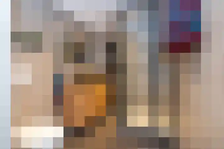 Camerlinghdreef 3 Zuidwolde thumbnail 38