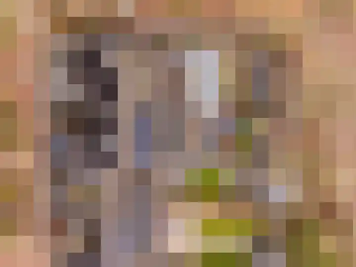 Camerlinghdreef 3 Zuidwolde thumbnail 40
