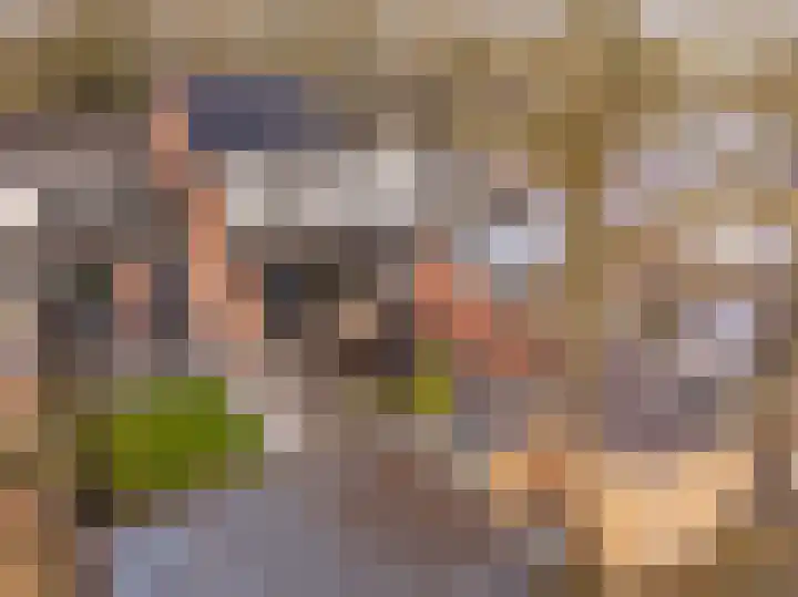 Camerlinghdreef 3 Zuidwolde thumbnail 41