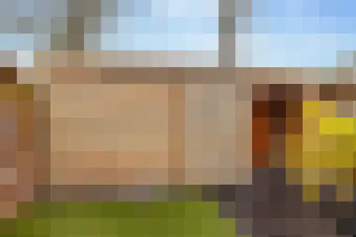 Camerlinghdreef 3 Zuidwolde thumbnail 44