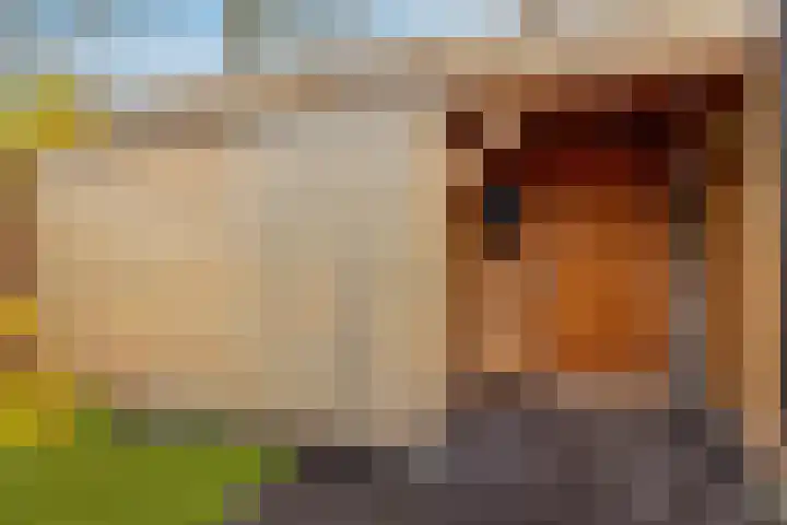 Camerlinghdreef 3 Zuidwolde thumbnail 45