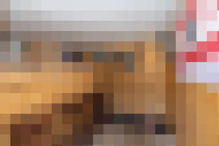 Camerlinghdreef 3 Zuidwolde thumbnail 46