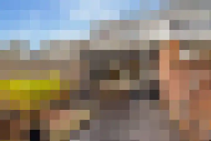 Camerlinghdreef 3 Zuidwolde thumbnail 47