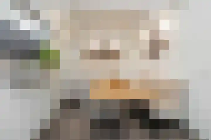 Camerlinghdreef 3 Zuidwolde thumbnail 5