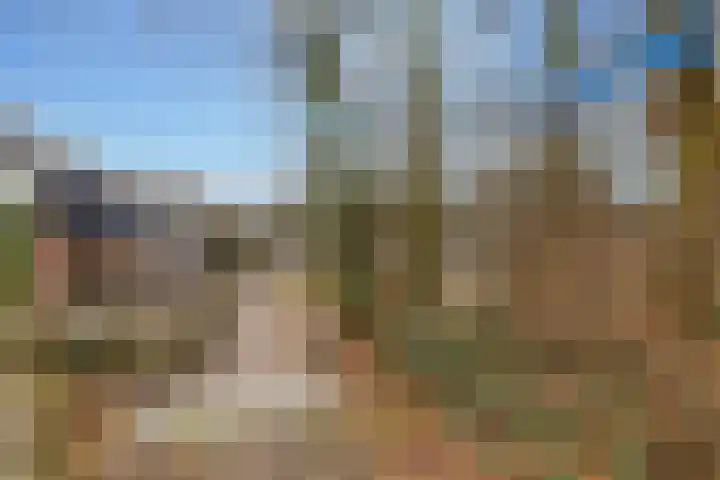 Camerlinghdreef 3 Zuidwolde thumbnail 51