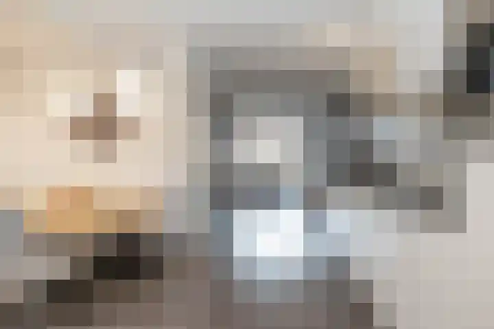 Camerlinghdreef 3 Zuidwolde thumbnail 8