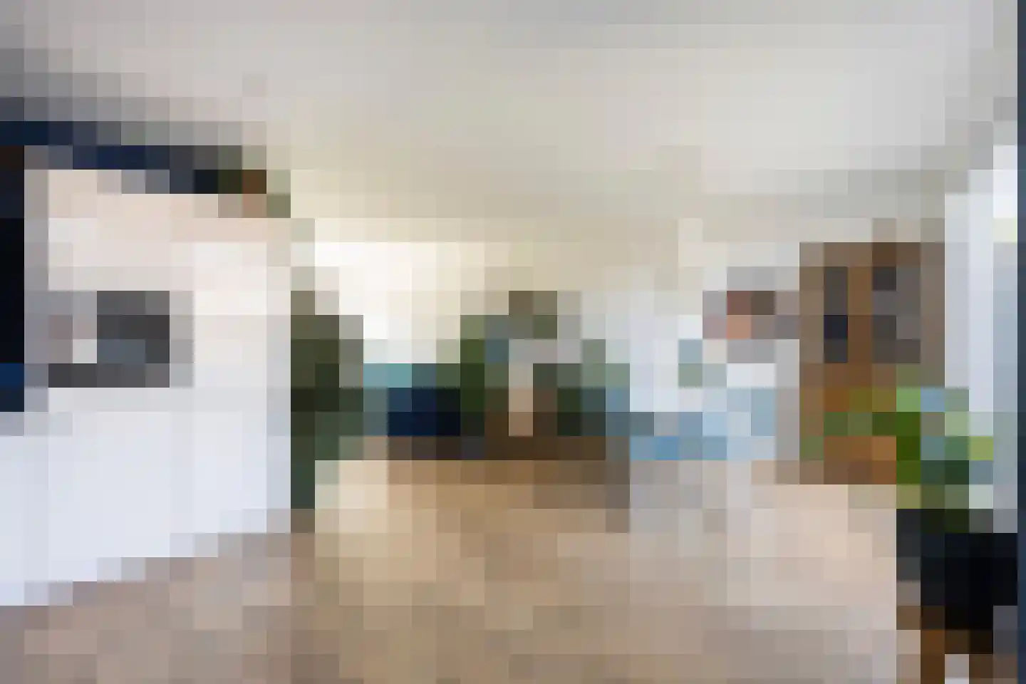 Camerlinkstraat 14 Dalfsen thumbnail 12
