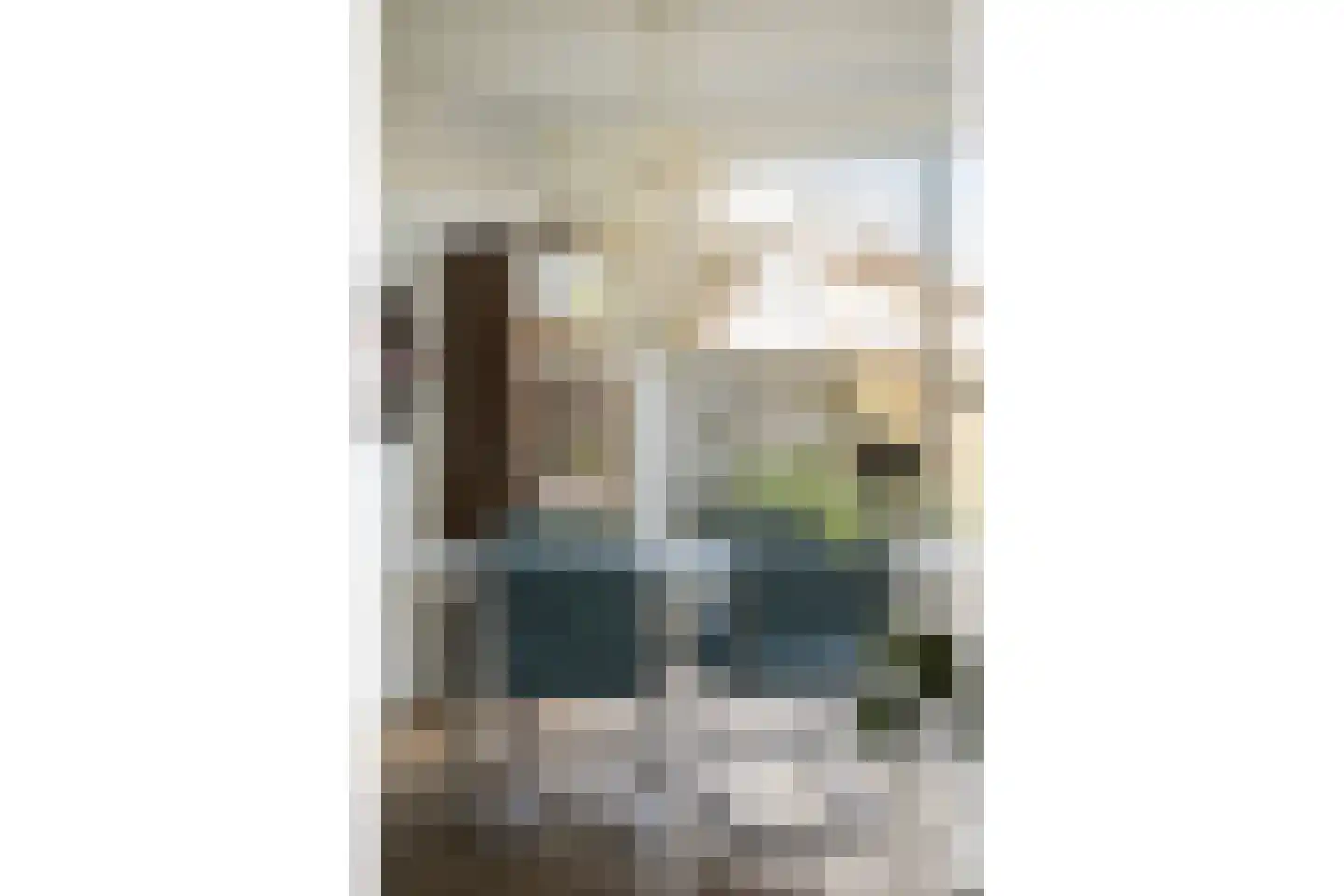 Camerlinkstraat 14 Dalfsen thumbnail 14