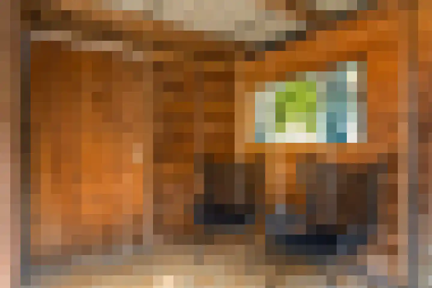 Camerlinkstraat 14 Dalfsen thumbnail 32
