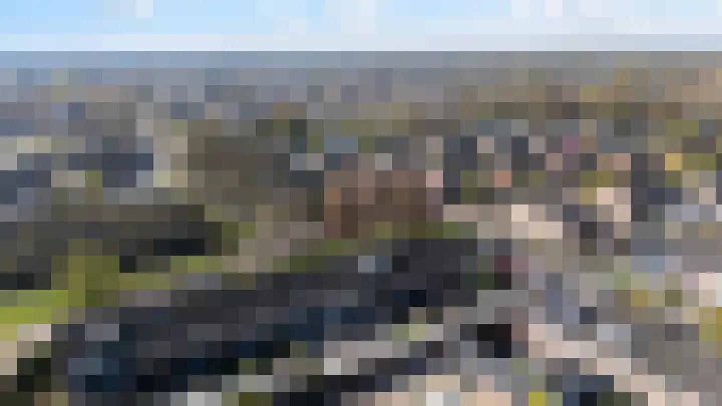 Camerlinkstraat 14 Dalfsen thumbnail 33