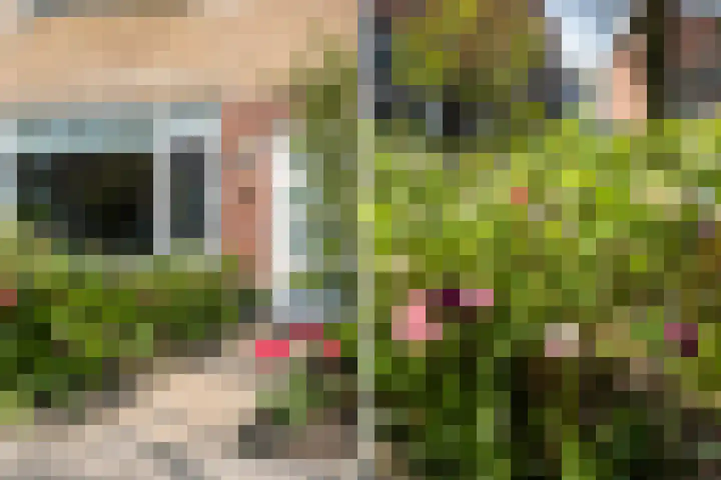 Camerlinkstraat 14 Dalfsen thumbnail 5