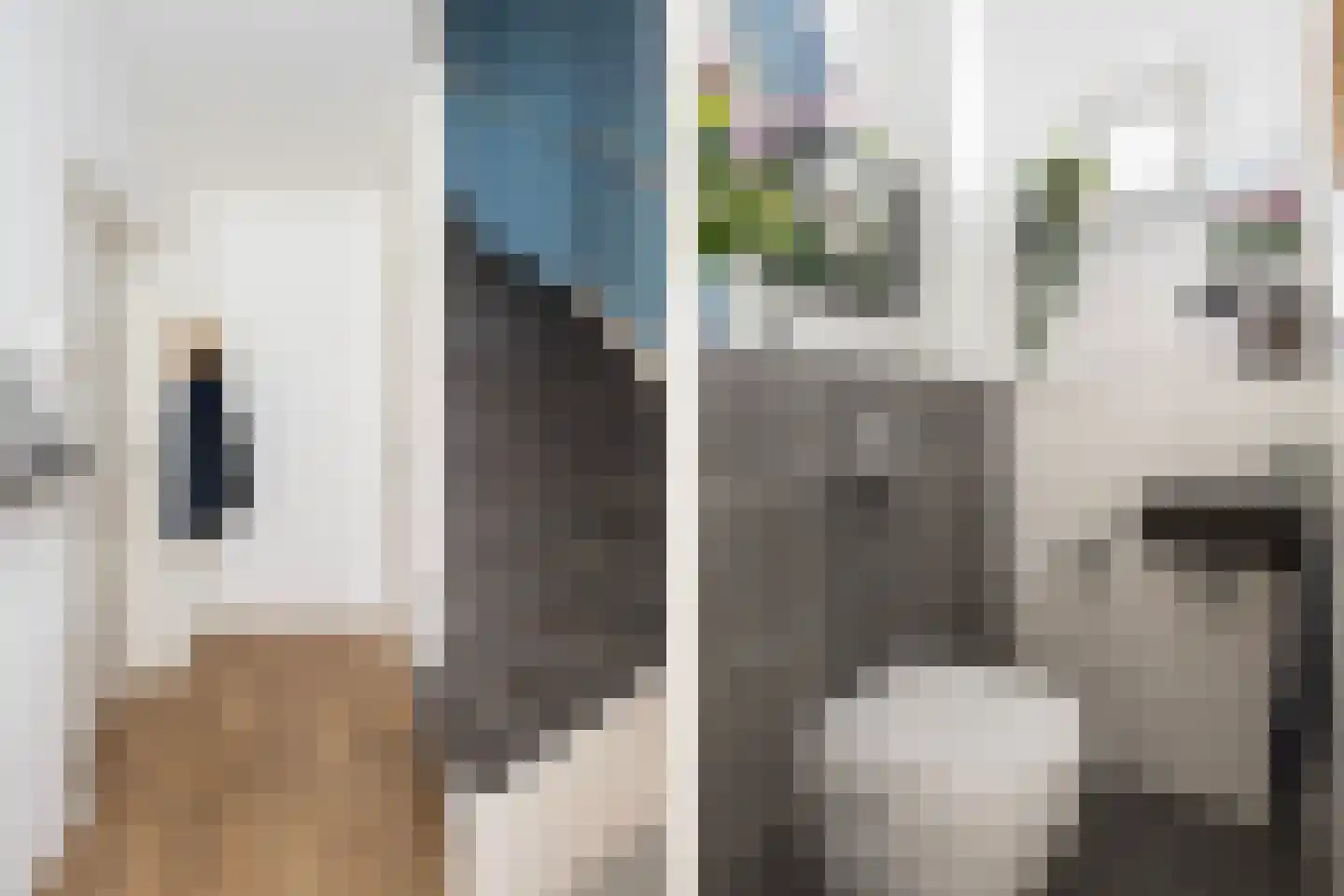 Camerlinkstraat 14 Dalfsen thumbnail 7