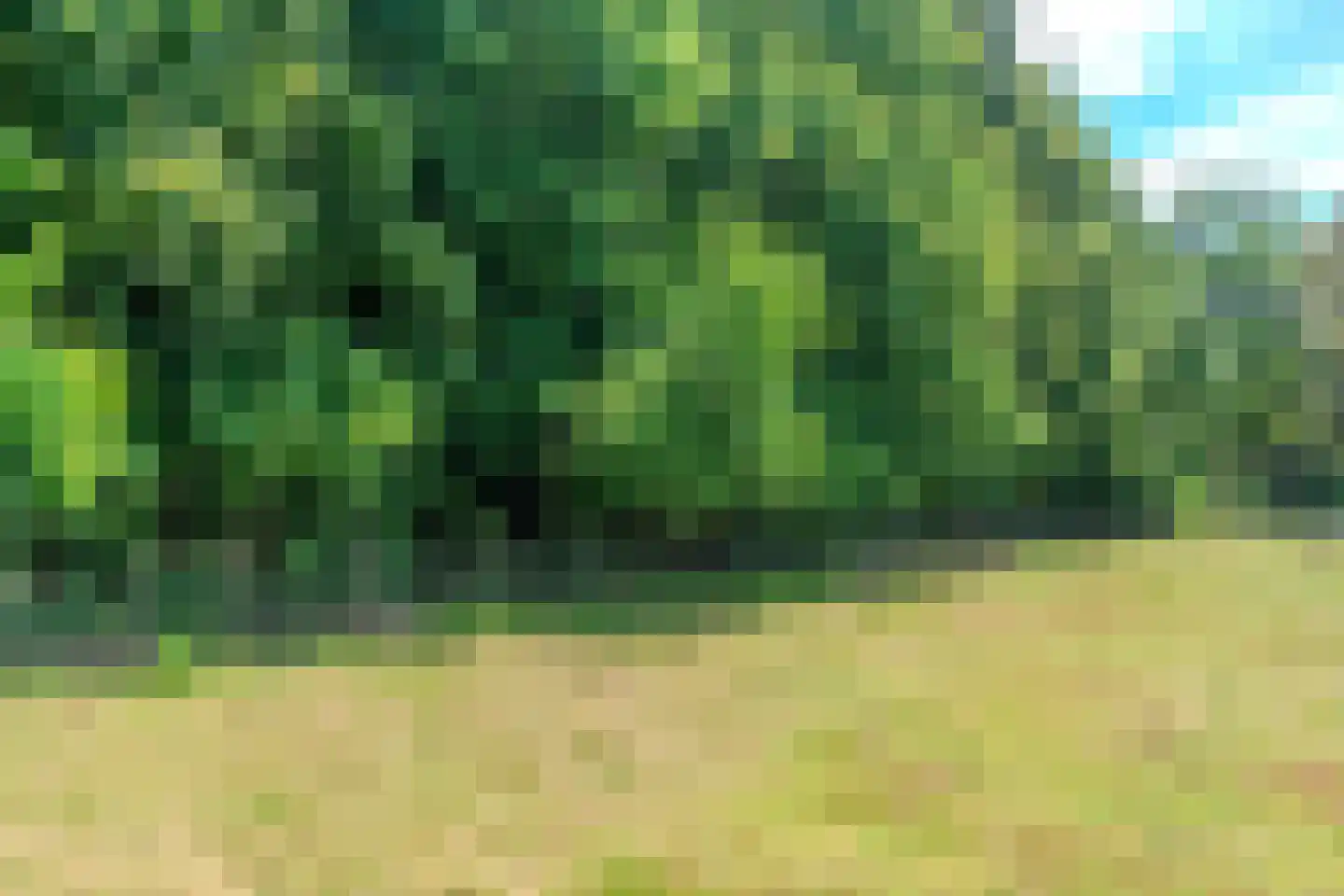 Cameronlaan Hoogerheide thumbnail 6