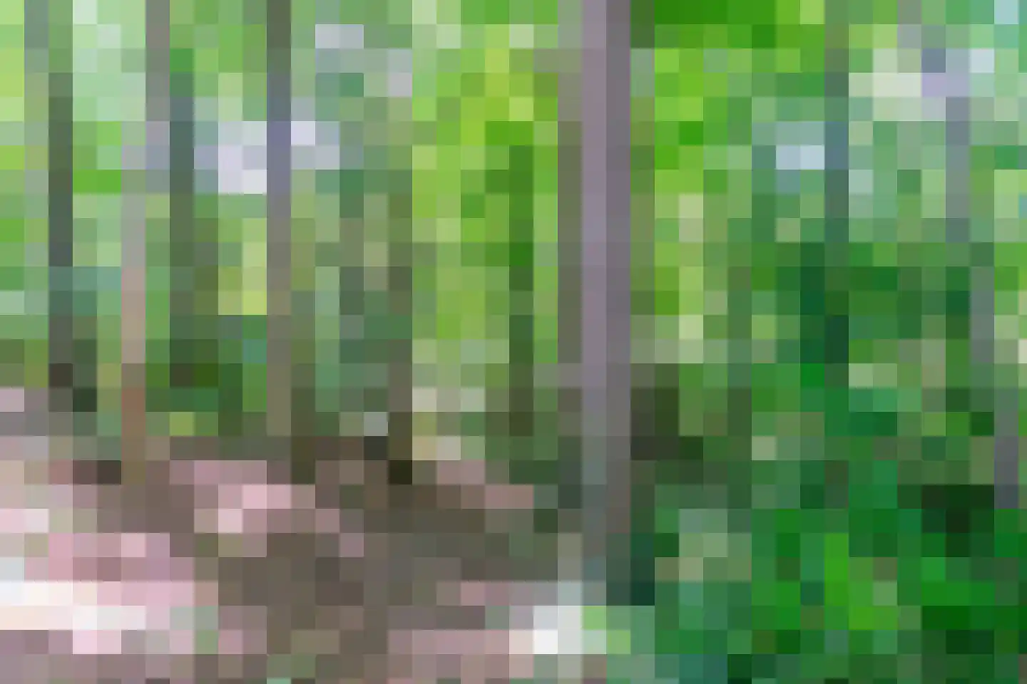 Cameronlaan Hoogerheide thumbnail 7