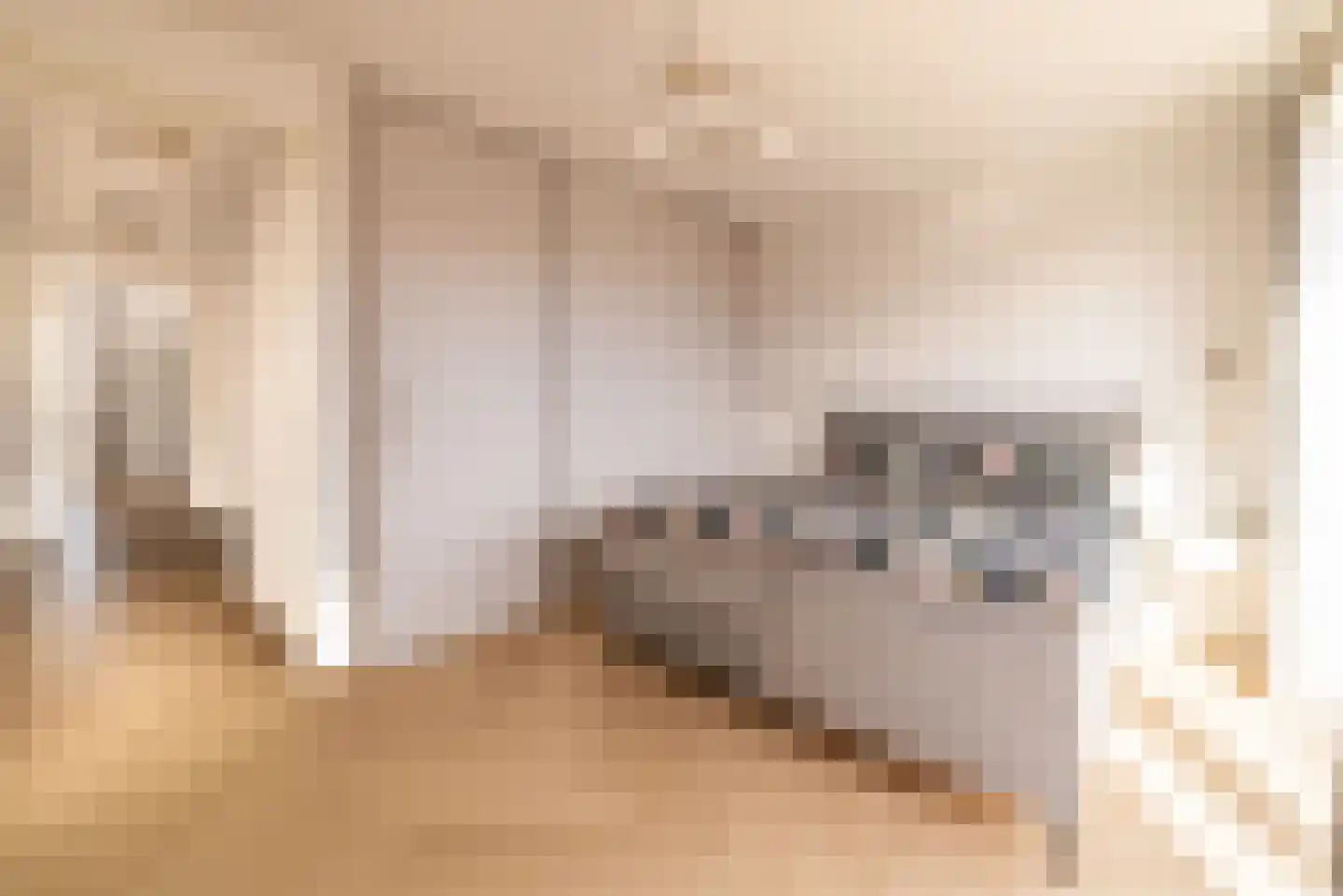 Camille Balystraat 9 D Amsterdam thumbnail 15